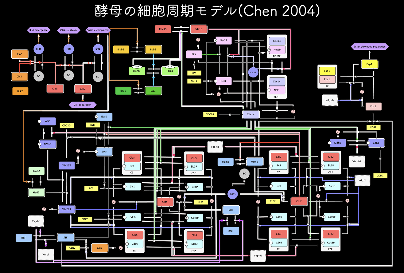 番外編：細胞の数理モデルとロバストネス解析について今思うこと